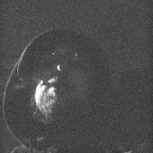 Meet your Posher, T3tinnovations